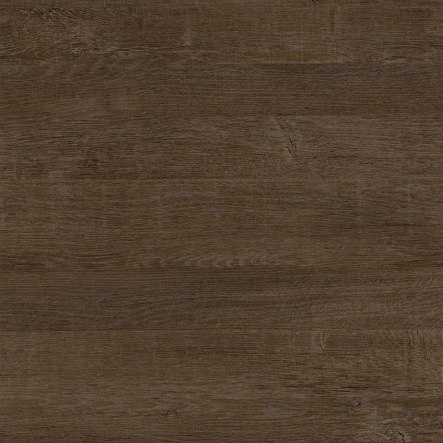 Woodland 40W Wall Mounted Coat Rack with Shelf by Bush Furniture