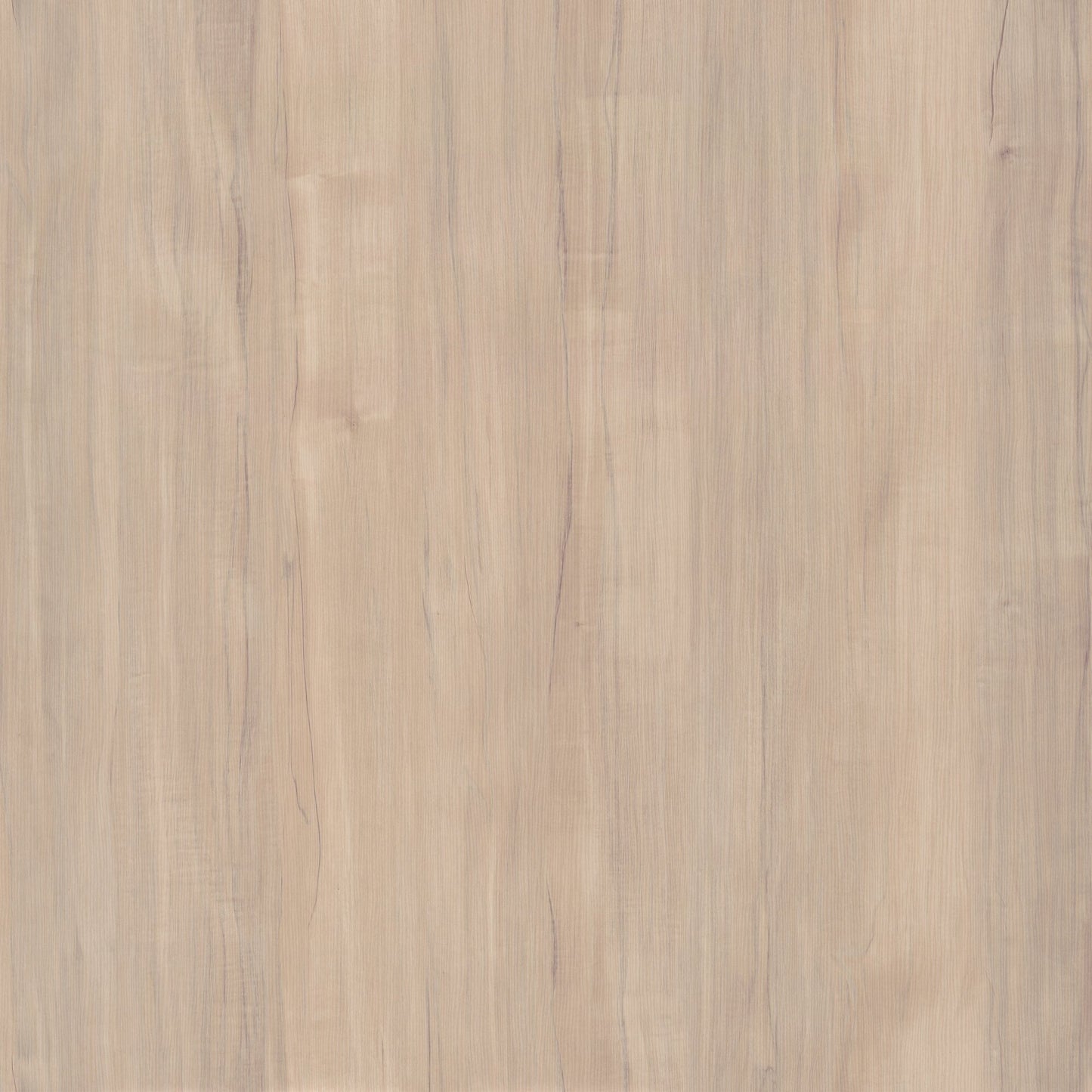 Woodland 40W Wall Mounted Coat Rack with Shelf by Bush Furniture